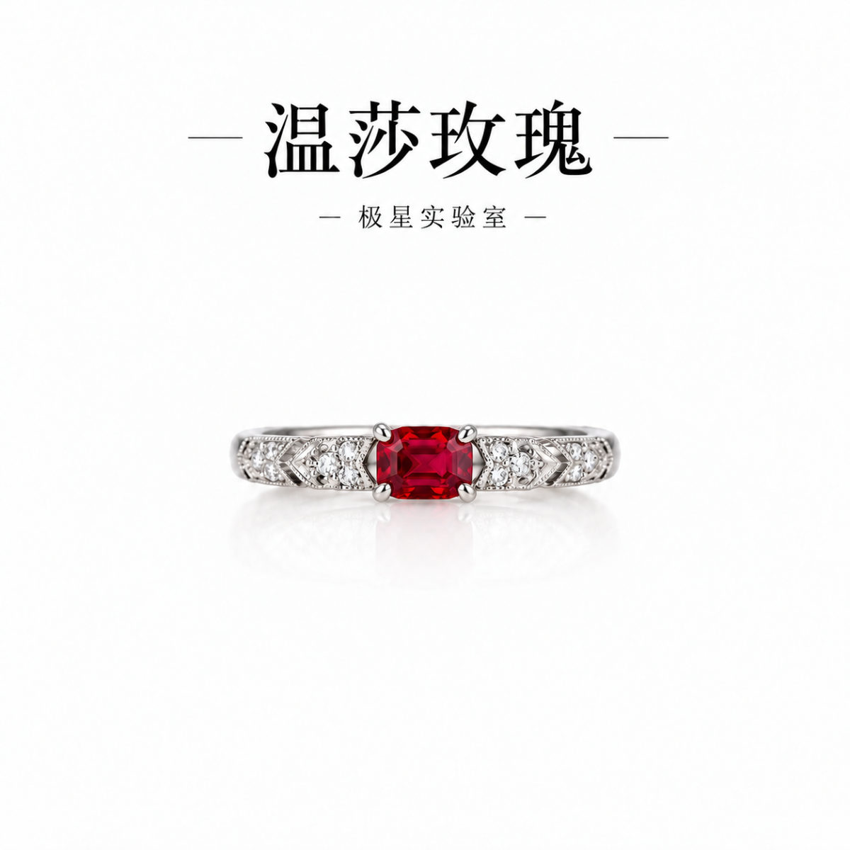 温莎玫瑰